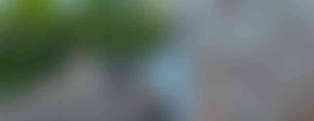 Investigating Chatham Manor