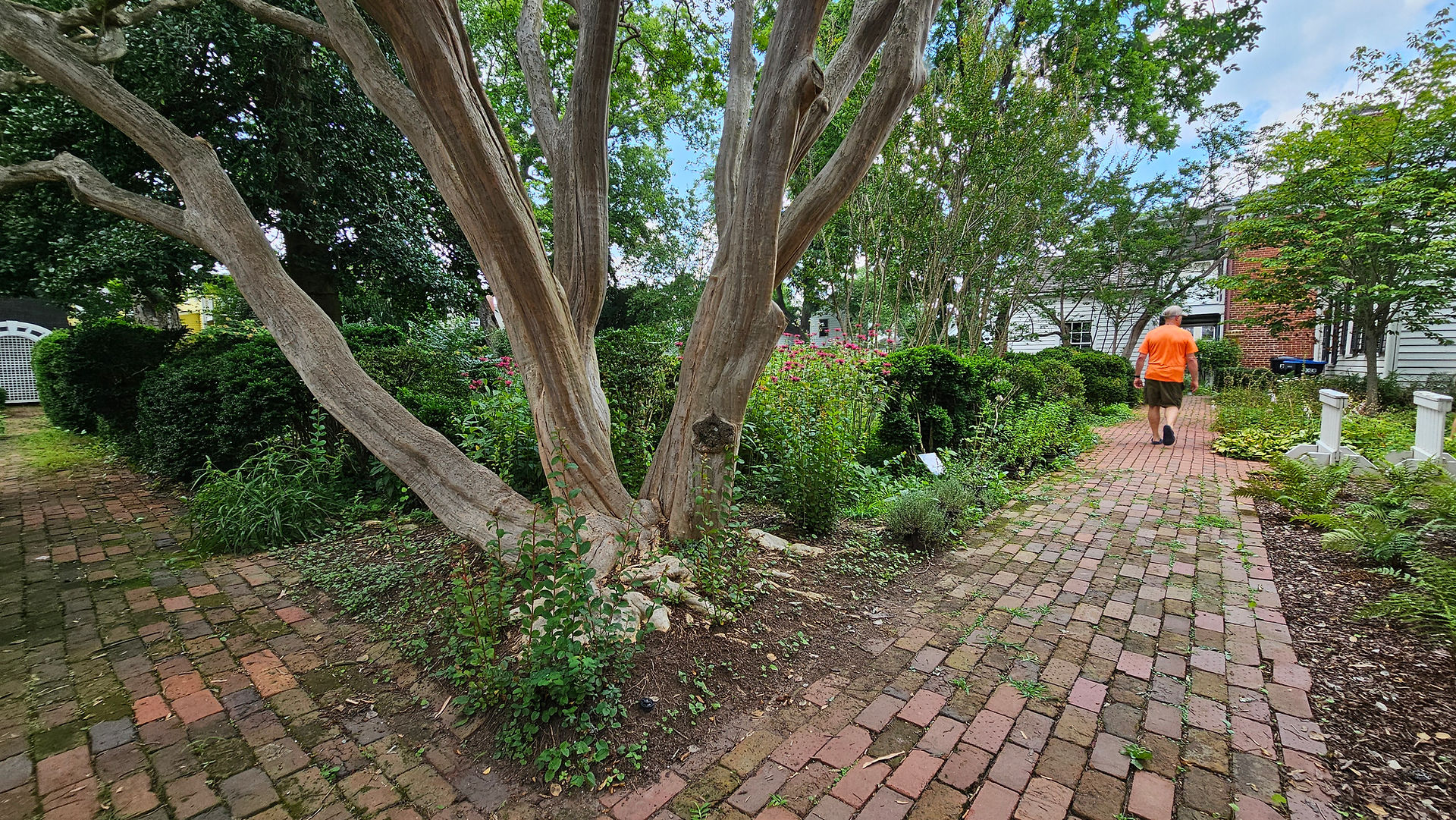 Mary Bell Washington House