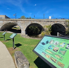 Our Search for Brady's Leap