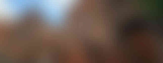 Westminster Hall and Burial Grounds - Edgar Allan Poe Grave