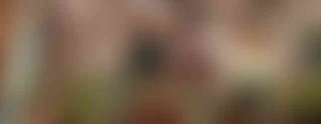 Buhl Mansion for the Holidays