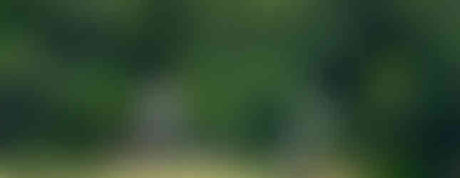 Manassas National Battlefield Park