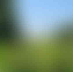 1607 Jamestown Fort Site