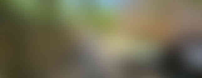 Bruton Parish Episcopal Church