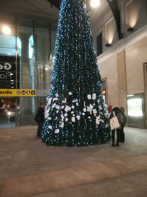 Albero Di Natale Sogno.L Albero Della Cuccagna Dei Sogni