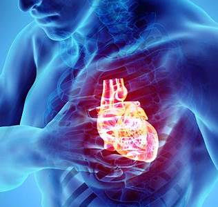 insuficiencia cardíaca tratamiento síntomas prevención causas diagnóstico cardiología salud corazón
