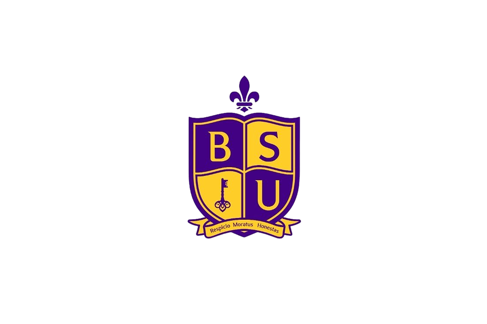 Untitled design (5).png