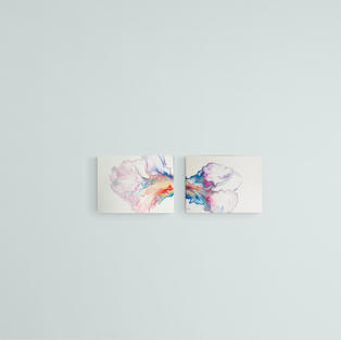 COLLISION
€80