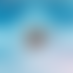 Upcoming Festivals in Jacksonville, FL