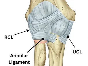 Tommy John Surgery - Overview of Injury to Recovery