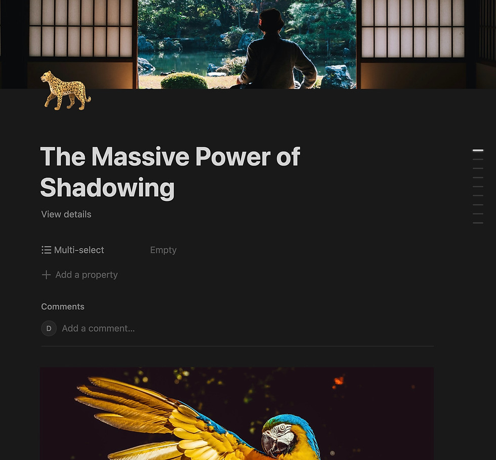 Screenshot 2025-07-13 at 17.19.16.jpeg