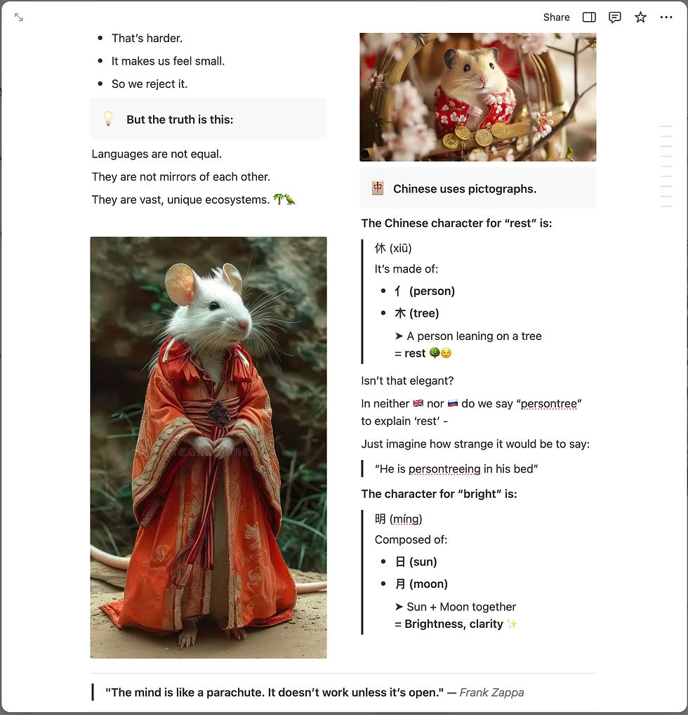 Screenshot 2025-06-18 at 17.54 copy.jpeg