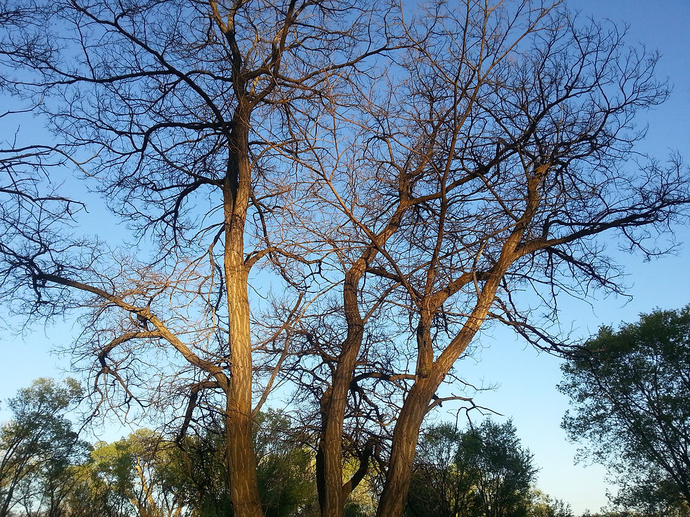 20130516_193243.jpg