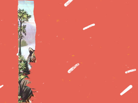 Astrology by Mahadeshwara Jyothishalaya in Kollegal