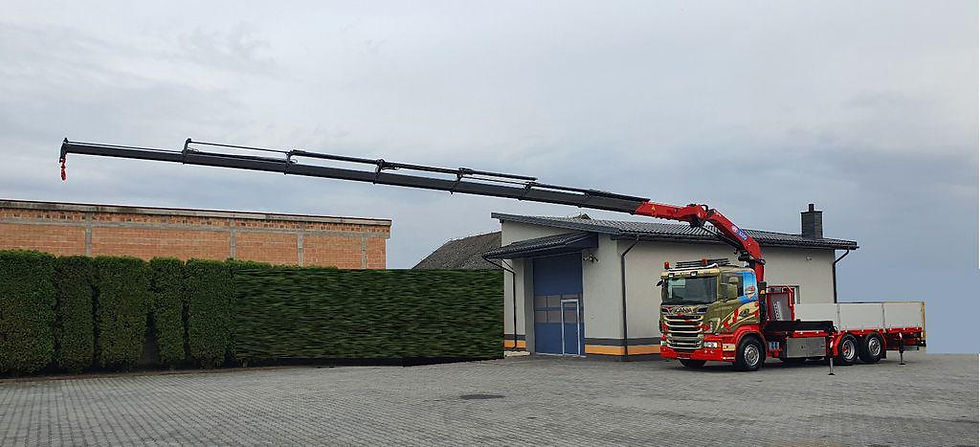 TRANSPORT AMB CAMIÓ GRUA