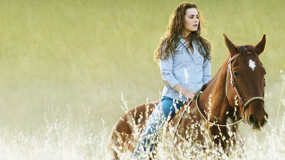 Flicka (2006) went with the safe decision to keep the horse alive (Photo Credit: Letterboxd).