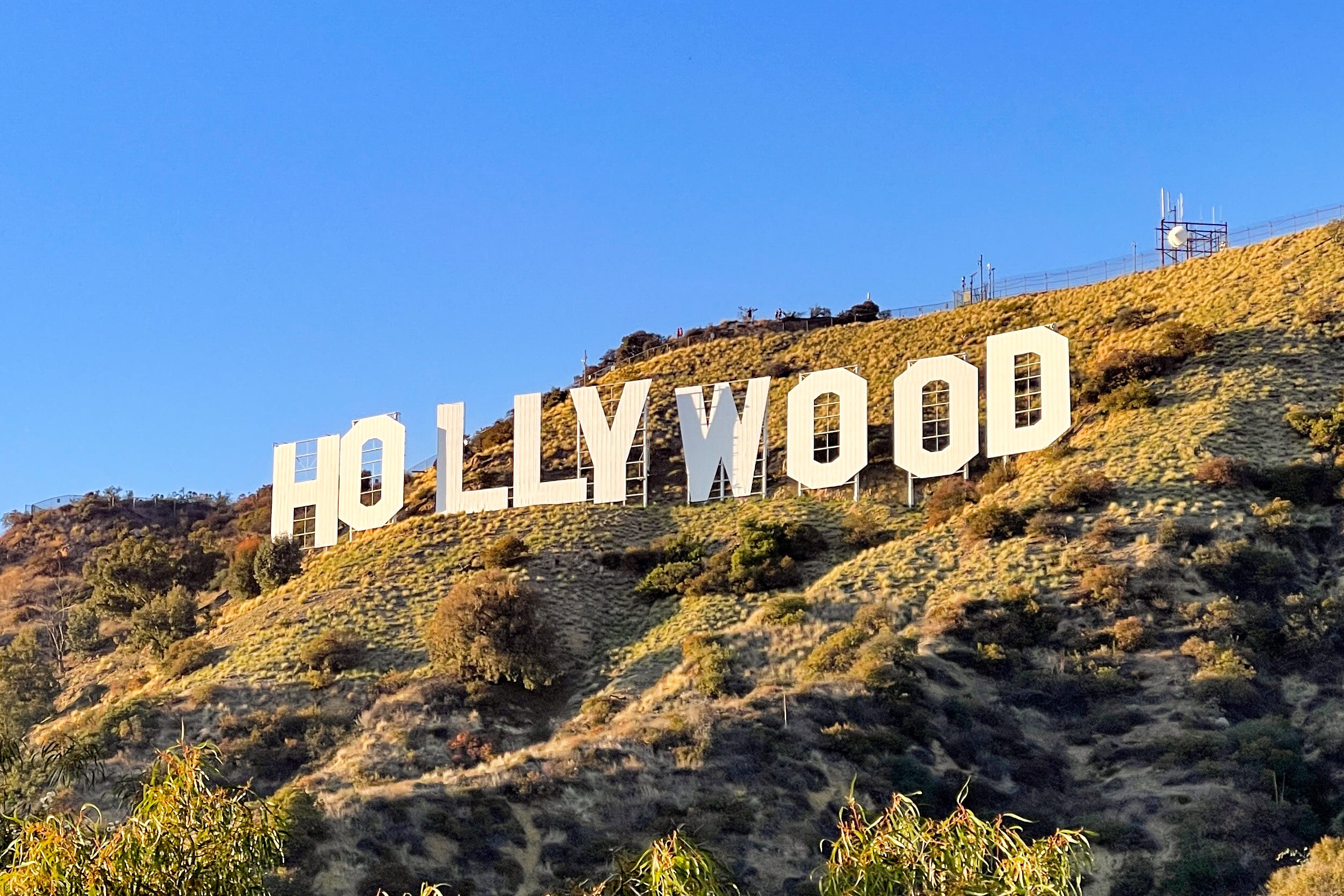 Writer: Hollywood