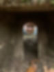 RELIC HUNTER JACK