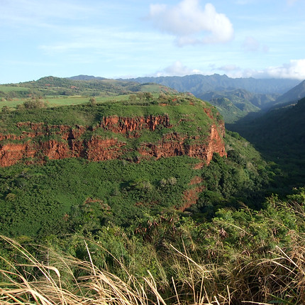 Kauai Hawaii Jan 2008.jpg