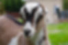 IMG_5812.jpeg