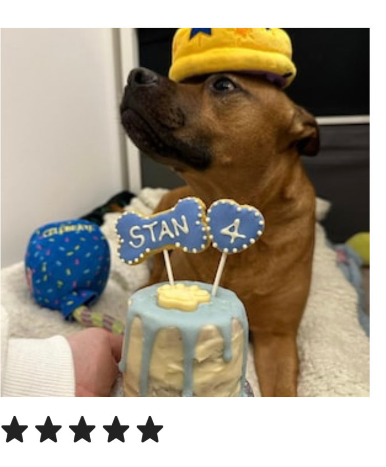 Thumbnail: Doggy birthday or Gotcha cake 