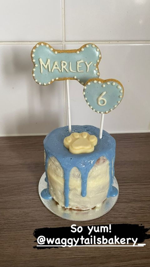 Thumbnail: Doggy birthday or Gotcha cake 