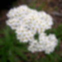 image00002.png