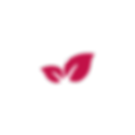 venovin8.png