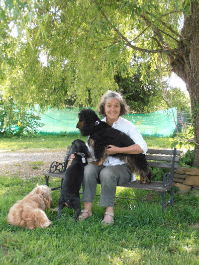 Les chiens et Nicky