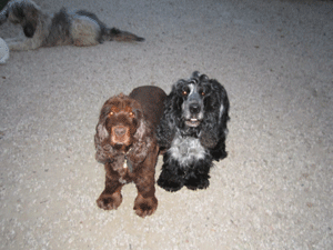 Dominette & Emmie
