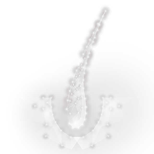 —Pngtree—hair geometry hair follicle luminescence_6853859.png