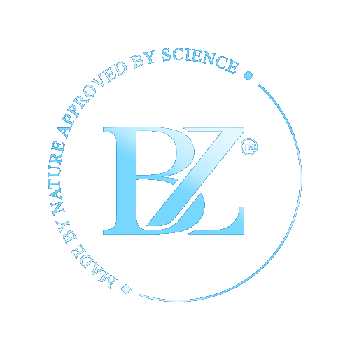 BZ__LOGO_40b9b4ab-ae03-4302-a113-21a63ab11cd5.gif