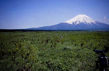 Mount Fuji