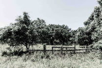 Fulshear Marketplace - Site Photos_20.JPG