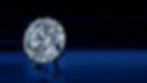 header5.jpg