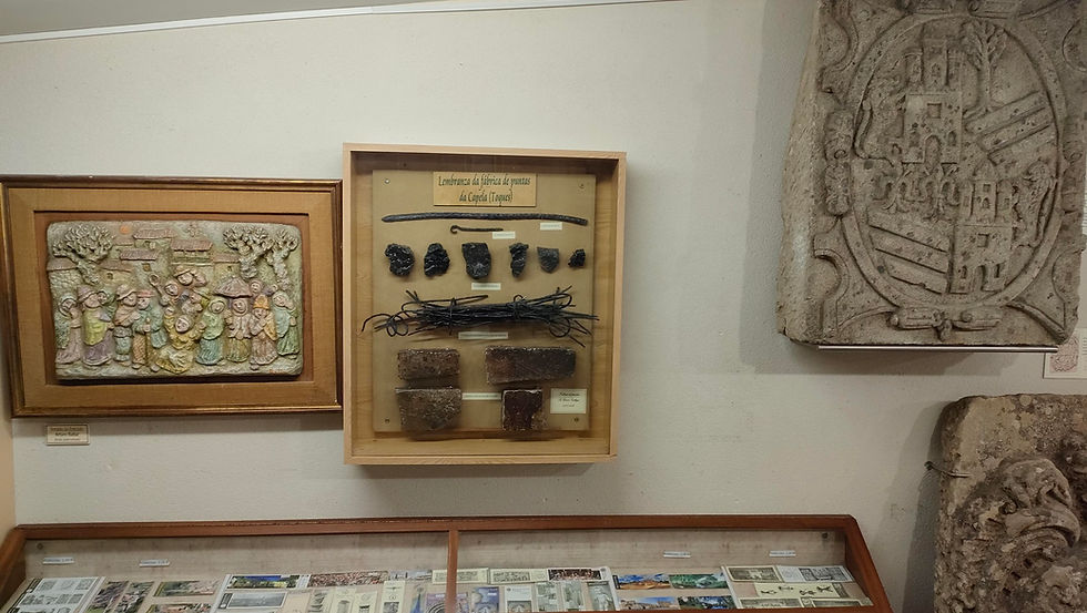 Autor: Museo da Terra de Melide.