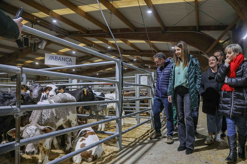 Medio Rural mantén as medidas de prevención fronte á dermatose nodular contaxiosa ata o 1 de febreiro