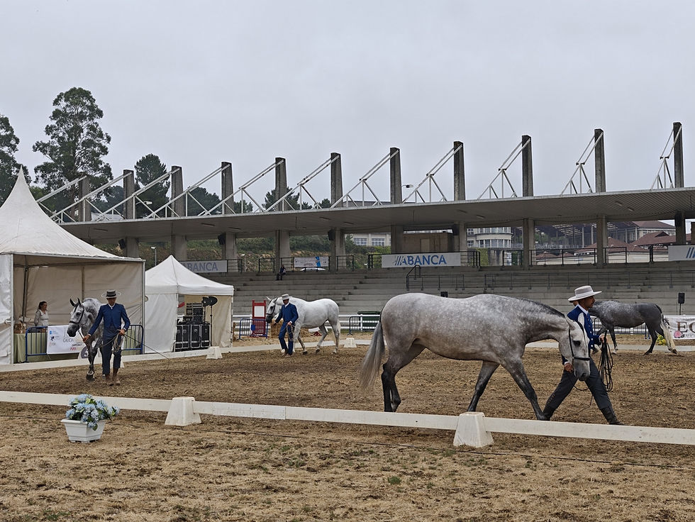 Equina Galicia 2026 celebra unha edición con máis competicións e con maior nivel deportivo