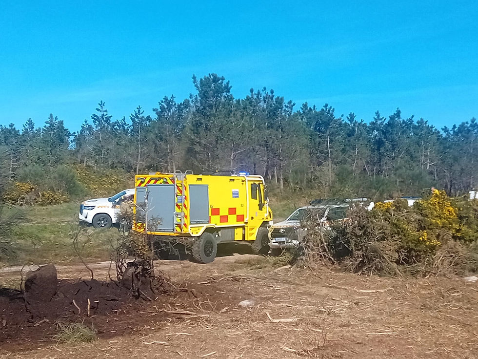 Un lume forestal na parroquia de Arnego, en Rodeiro, afecta unhas 2 hectáreas 