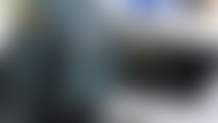 Investigan a un veciño de Monterroso como presunto autor dun delito de malos tratos a animais