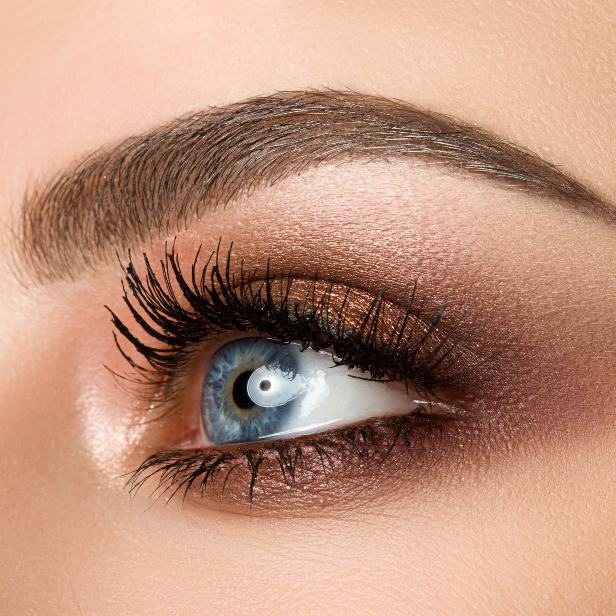 Lash and Brow Tinting and Waxing