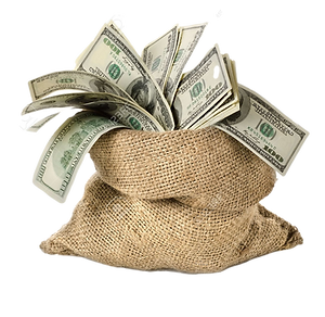 17161727-money-in-the-bag_edited.png