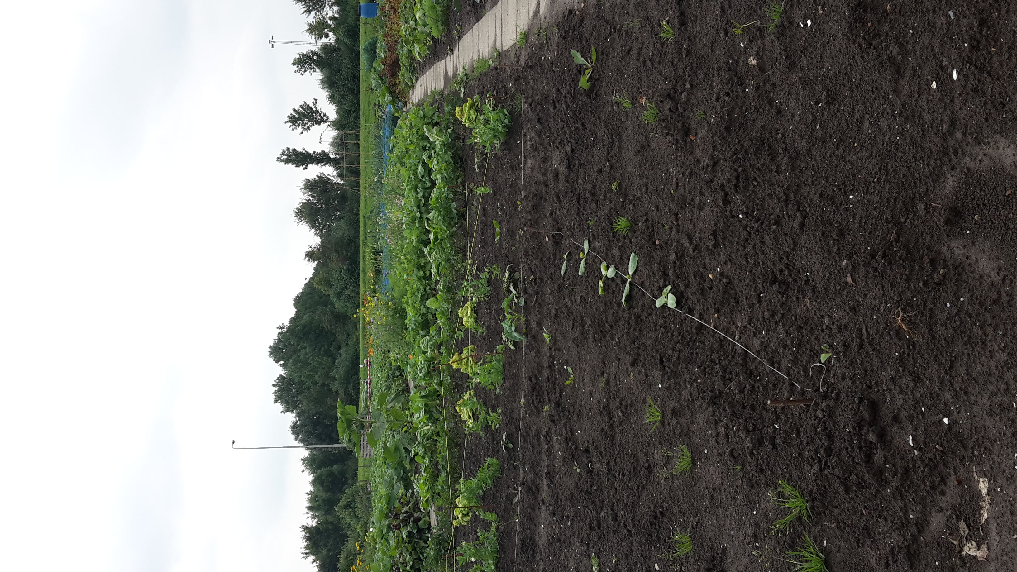 tuin noord