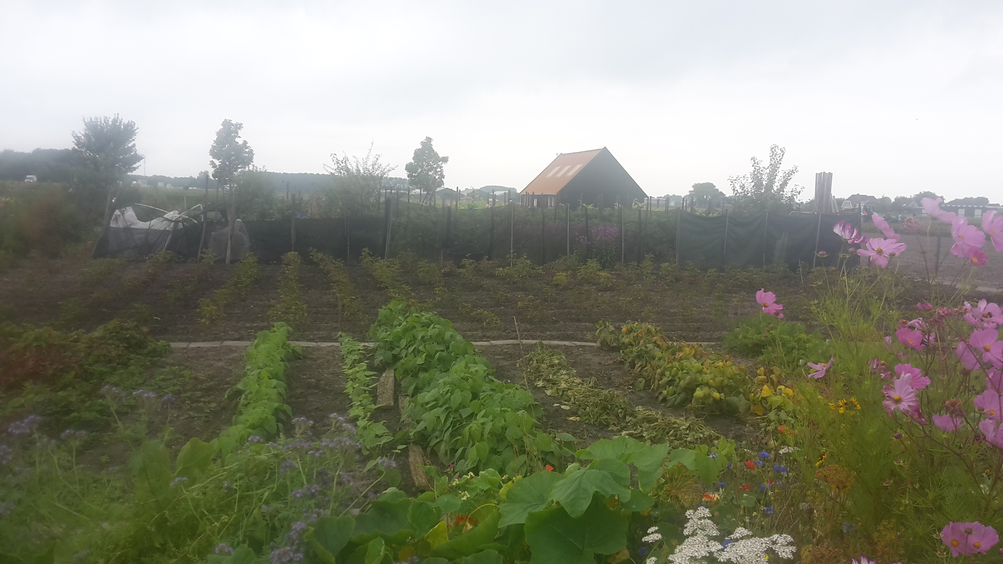 tuin september