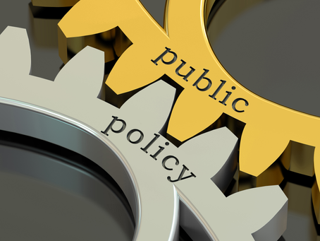 Public Policy and Economic Development: Insights from Professor Michael D. Kaluya