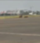 Presidential Plane landing at Khartoum.
