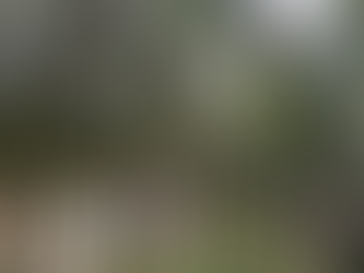 Review: Lotus Blanc Resort Siem Reap Cambodia