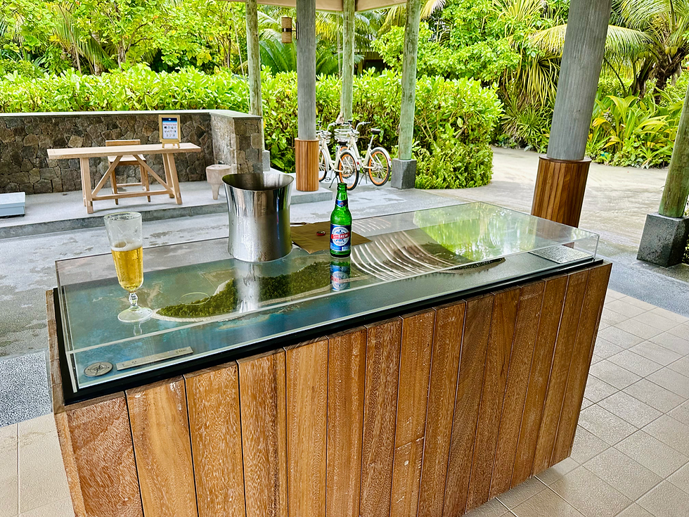 Four Seasons Departure Lounge Desroches Island