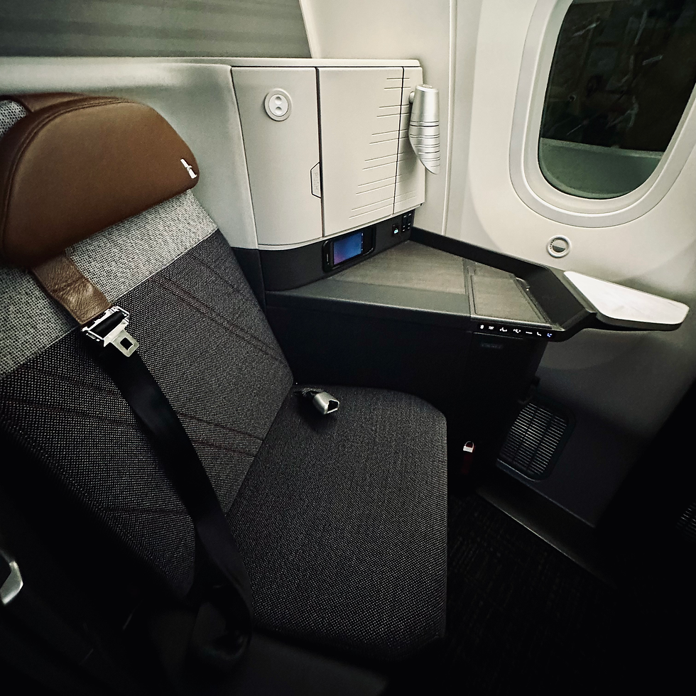 American Airlines 78P Flagship Suites Seat