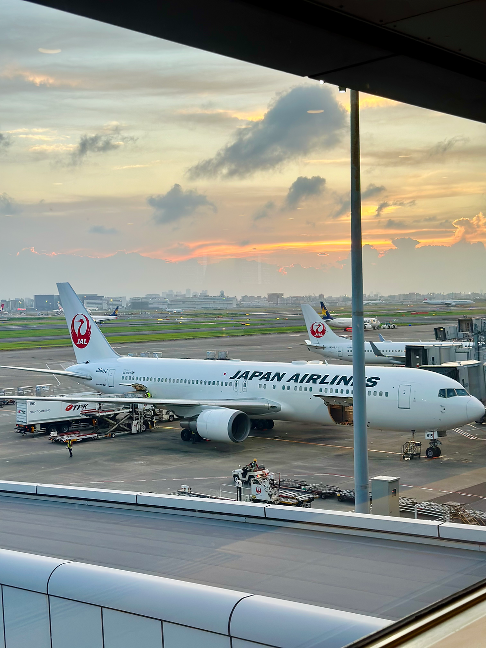 These tarmac views are stunning: This was the JAL 767-300 we would soon be boarding over to ITM